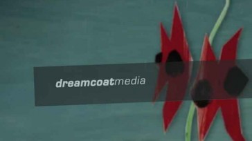 dreamcoat multimedia logo